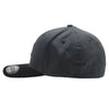 DC Cap Star Seasonal - Black